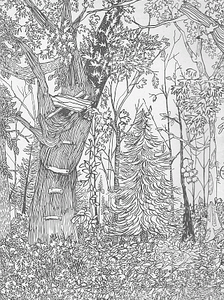 Front cover