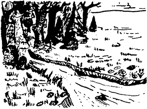 Mtn Stream