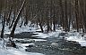 WinterFlow